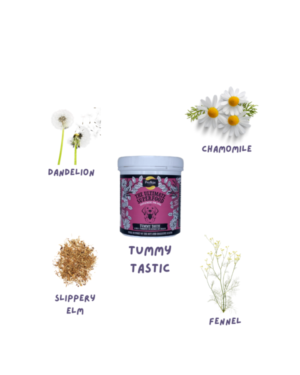 Proflax Yeast Bundle - Image 2