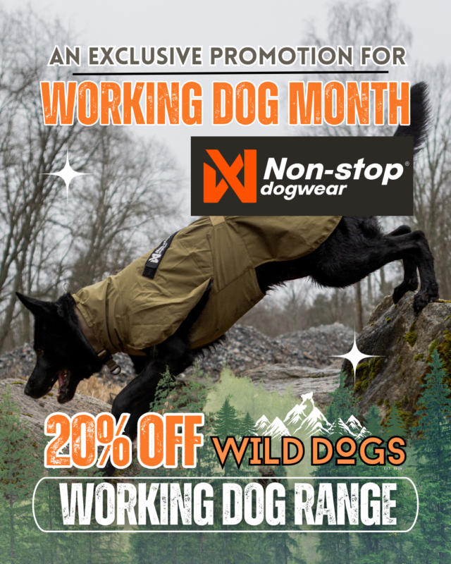 Working Dog Promo