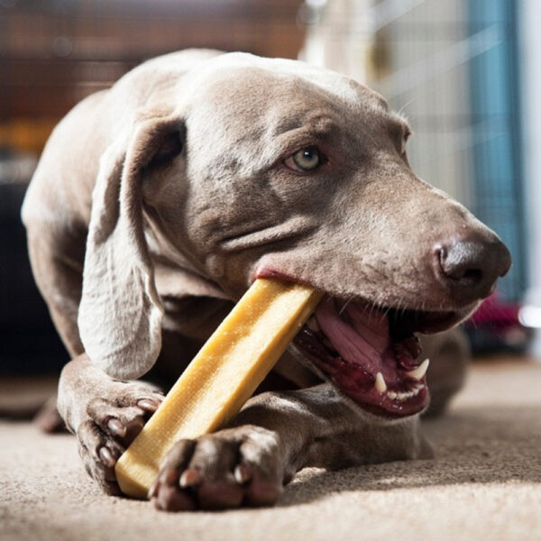 Patello Yak Cheese Dog Chews - Image 2