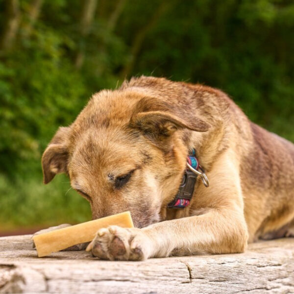Patello Yak Cheese Dog Chews - Image 3