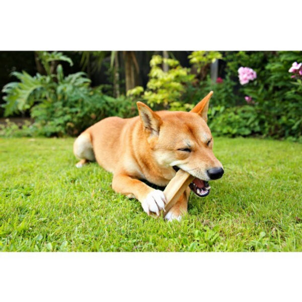 Patello Yak Cheese Dog Chews - Image 4