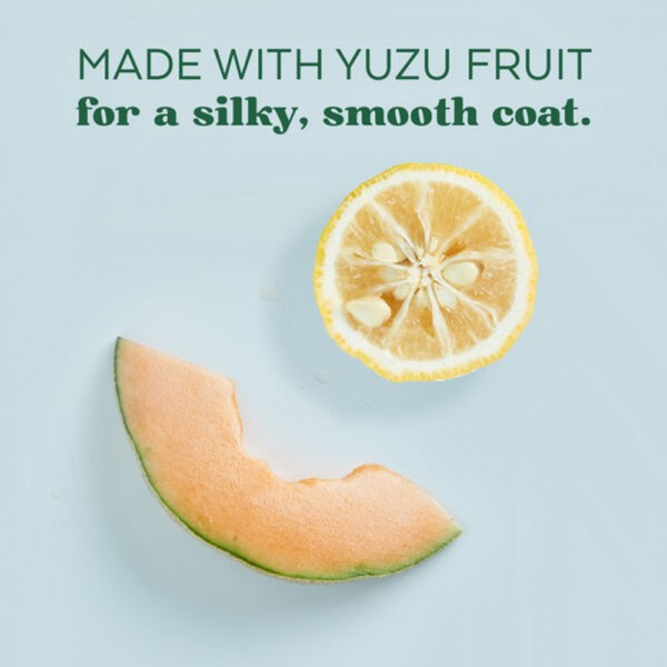 Tropiclean Yuzu Oil Shampoo - Image 4