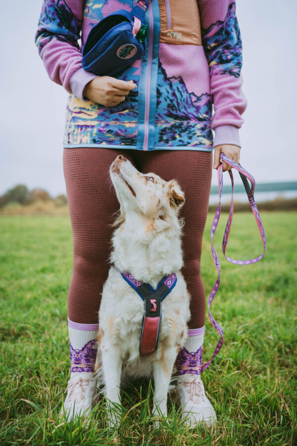 Non-Stop Trail Quest Collar Rachel Pohl Edition Pink - Image 2